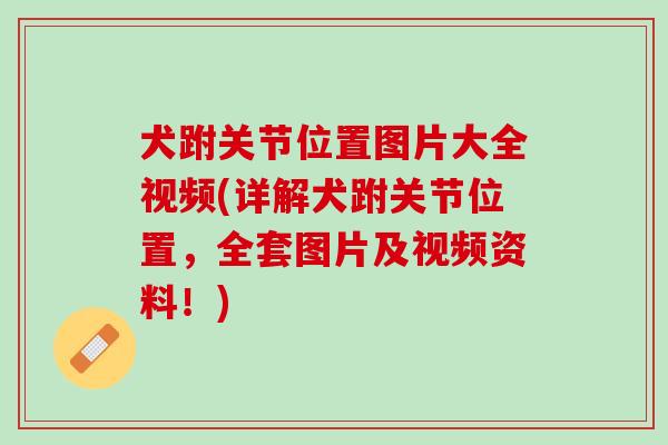 犬跗关节位置图片大全视频(详解犬跗关节位置，全套图片及视频资料！)