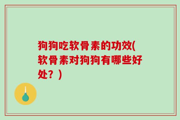 狗狗吃软骨素的功效(软骨素对狗狗有哪些好处？)