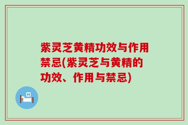 紫灵芝黄精功效与作用禁忌(紫灵芝与黄精的功效、作用与禁忌)