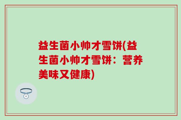 益生菌小帅才雪饼(益生菌小帅才雪饼：营养美味又健康)