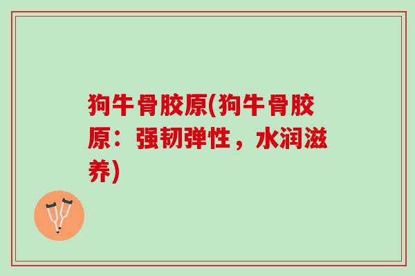 狗牛骨胶原(狗牛骨胶原：强韧弹性，水润滋养)