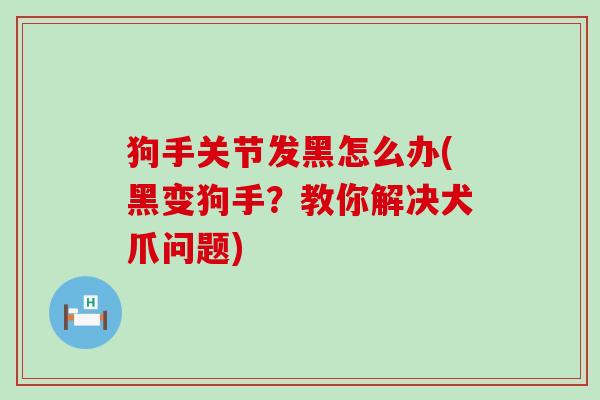 狗手关节发黑怎么办(黑变狗手？教你解决犬爪问题)