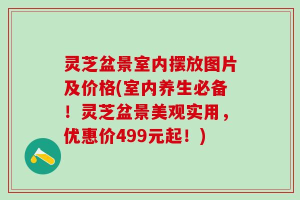 灵芝盆景室内摆放图片及价格(室内养生必备！灵芝盆景美观实用，优惠价499元起！)
