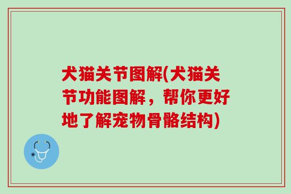 犬猫关节图解(犬猫关节功能图解，帮你更好地了解宠物骨骼结构)