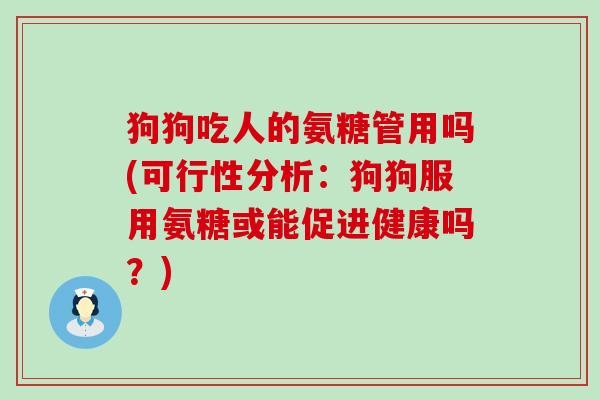 狗狗吃人的氨糖管用吗(可行性分析：狗狗服用氨糖或能促进健康吗？)