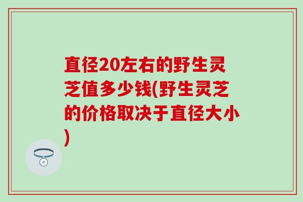 直径20左右的野生灵芝值多少钱(野生灵芝的价格取决于直径大小)