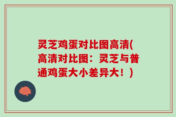 灵芝鸡蛋对比图高清(高清对比图：灵芝与普通鸡蛋大小差异大！)