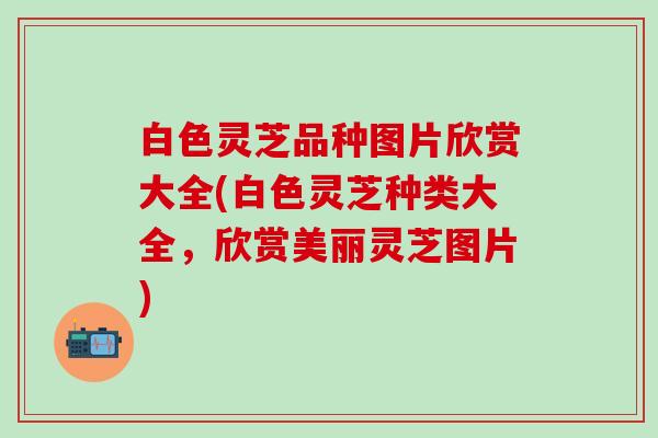 白色灵芝品种图片欣赏大全(白色灵芝种类大全，欣赏美丽灵芝图片)