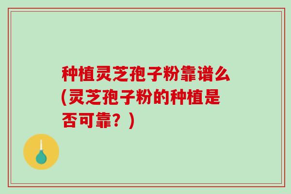 种植灵芝孢子粉靠谱么(灵芝孢子粉的种植是否可靠？)