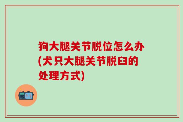 狗大腿关节脱位怎么办(犬只大腿关节脱臼的处理方式)