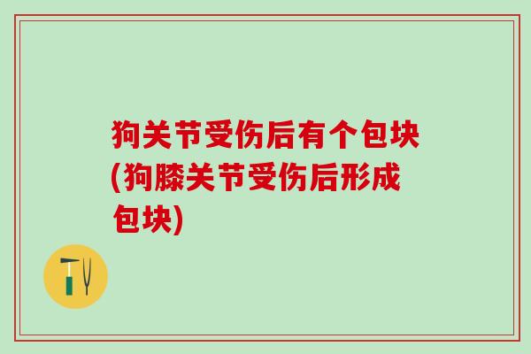 狗关节受伤后有个包块(狗膝关节受伤后形成包块)