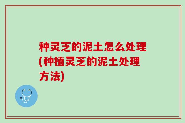 种灵芝的泥土怎么处理(种植灵芝的泥土处理方法)