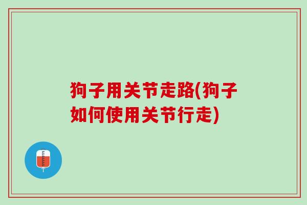 狗子用关节走路(狗子如何使用关节行走)