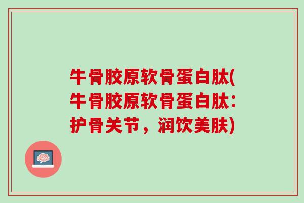 牛骨胶原软骨蛋白肽(牛骨胶原软骨蛋白肽：护骨关节，润饮美肤)