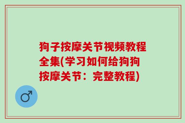 狗子按摩关节视频教程全集(学习如何给狗狗按摩关节：完整教程)