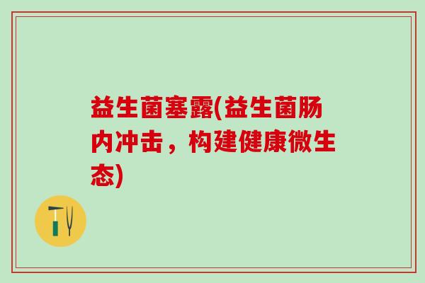 益生菌塞露(益生菌肠内冲击，构建健康微生态)