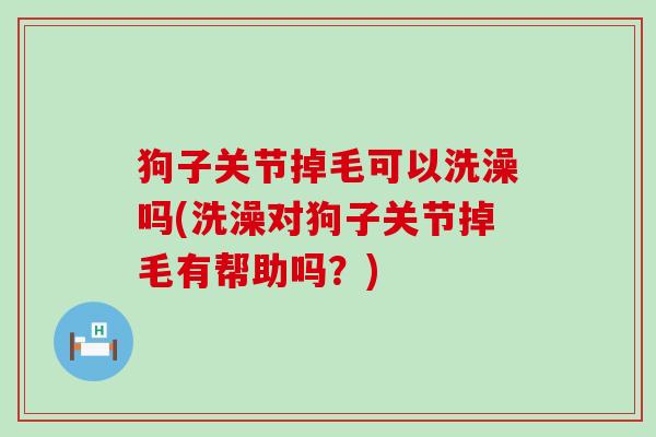 狗子关节掉毛可以洗澡吗(洗澡对狗子关节掉毛有帮助吗？)