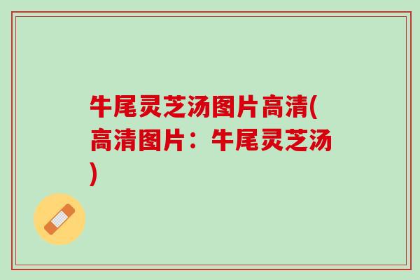 牛尾灵芝汤图片高清(高清图片：牛尾灵芝汤)