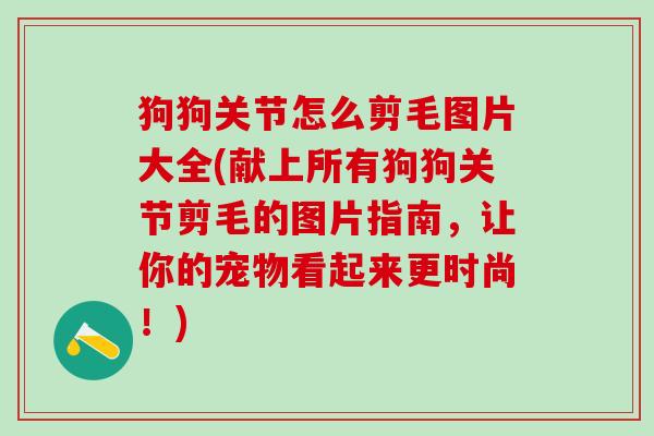 狗狗关节怎么剪毛图片大全(献上所有狗狗关节剪毛的图片指南，让你的宠物看起来更时尚！)