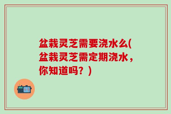 盆栽灵芝需要浇水么(盆栽灵芝需定期浇水，你知道吗？)