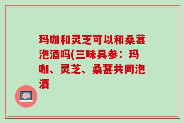 玛咖和灵芝可以和桑葚泡酒吗(三味具参：玛咖、灵芝、桑葚共同泡酒