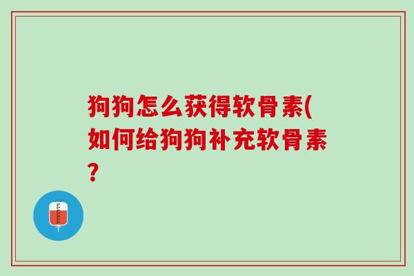狗狗怎么获得软骨素(如何给狗狗补充软骨素？