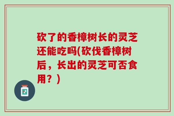 砍了的香樟树长的灵芝还能吃吗(砍伐香樟树后，长出的灵芝可否食用？)