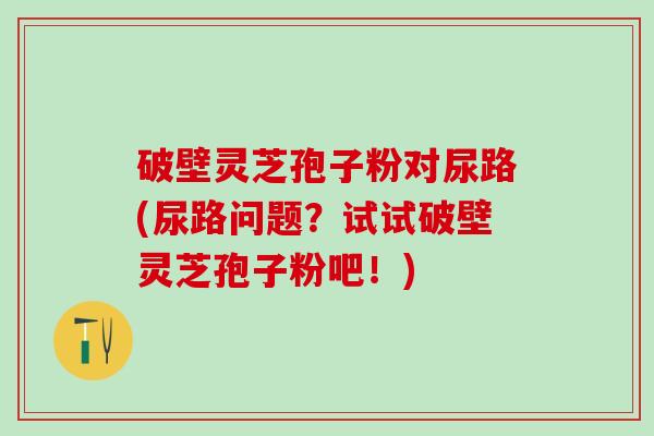 破壁灵芝孢子粉对尿路(尿路问题？试试破壁灵芝孢子粉吧！)
