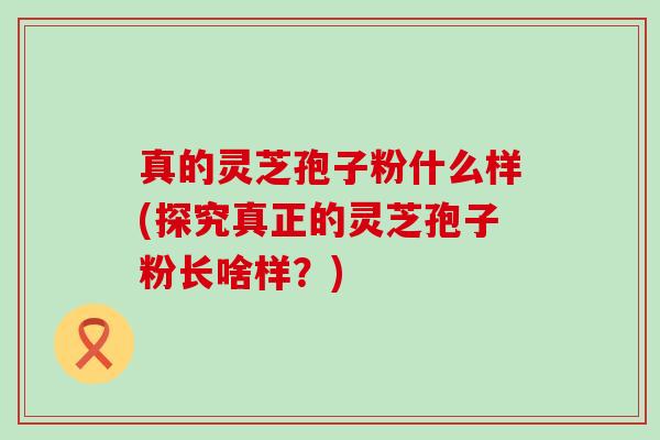 真的灵芝孢子粉什么样(探究真正的灵芝孢子粉长啥样？)