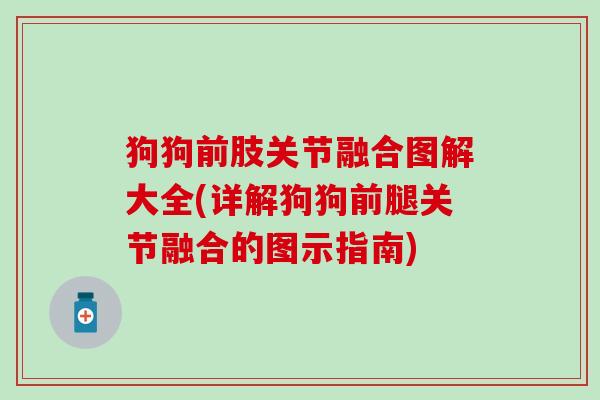 狗狗前肢关节融合图解大全(详解狗狗前腿关节融合的图示指南)