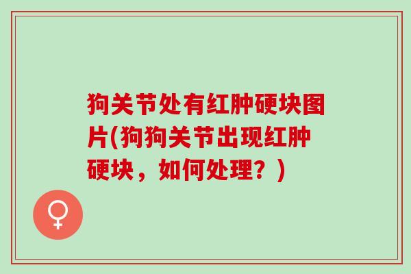 狗关节处有红肿硬块图片(狗狗关节出现红肿硬块，如何处理？)
