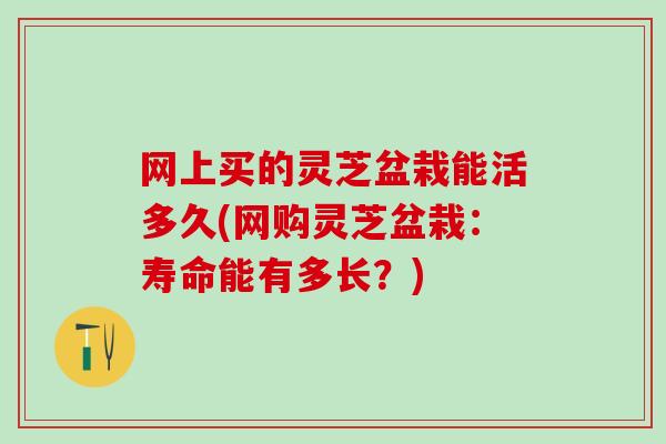 网上买的灵芝盆栽能活多久(网购灵芝盆栽：寿命能有多长？)