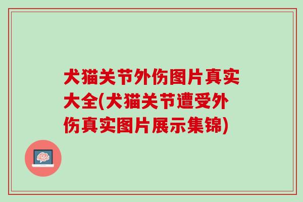 犬猫关节外伤图片真实大全(犬猫关节遭受外伤真实图片展示集锦)
