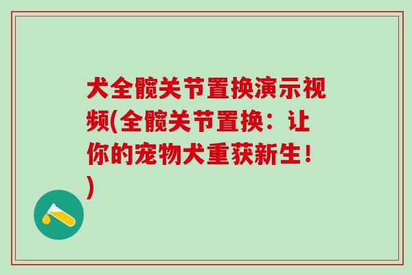 犬全髋关节置换演示视频(全髋关节置换：让你的宠物犬重获新生！)