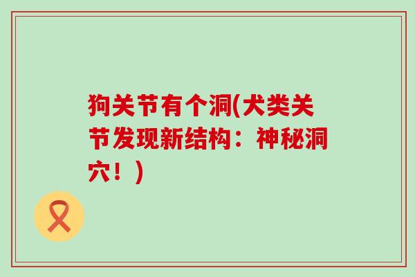 狗关节有个洞(犬类关节发现新结构：神秘洞穴！)