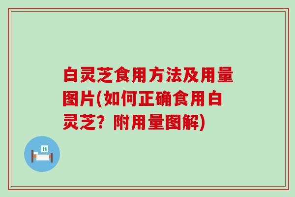 白灵芝食用方法及用量图片(如何正确食用白灵芝？附用量图解)