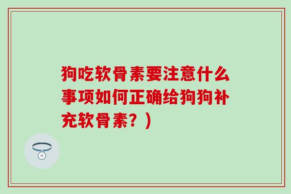 狗吃软骨素要注意什么事项如何正确给狗狗补充软骨素？)