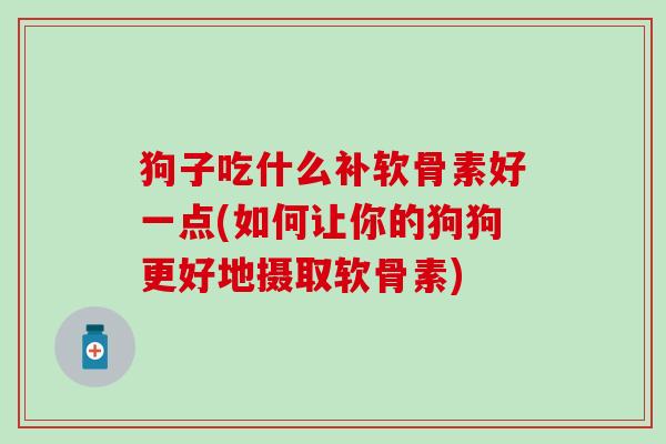 狗子吃什么补软骨素好一点(如何让你的狗狗更好地摄取软骨素)