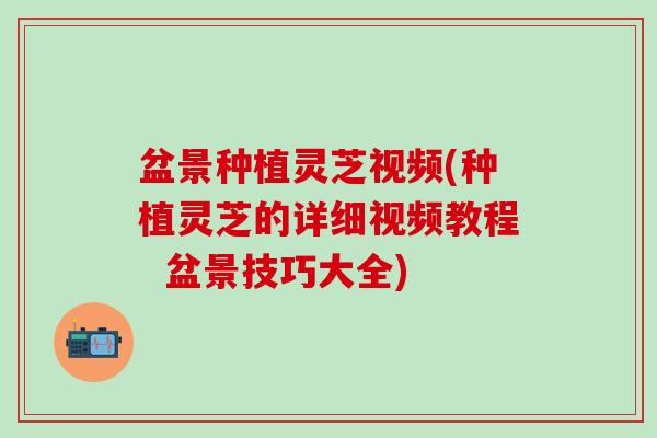 盆景种植灵芝视频(种植灵芝的详细视频教程  盆景技巧大全)