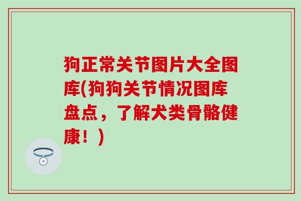 狗正常关节图片大全图库(狗狗关节情况图库盘点，了解犬类骨骼健康！)