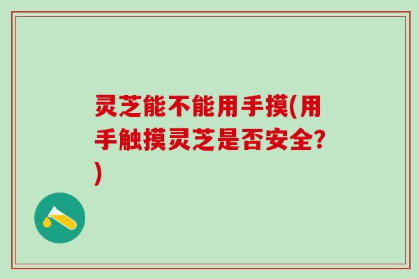 灵芝能不能用手摸(用手触摸灵芝是否安全？)