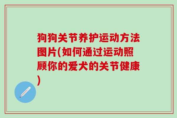 狗狗关节养护运动方法图片(如何通过运动照顾你的爱犬的关节健康)