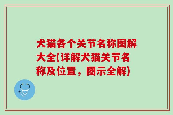 犬猫各个关节名称图解大全(详解犬猫关节名称及位置，图示全解)