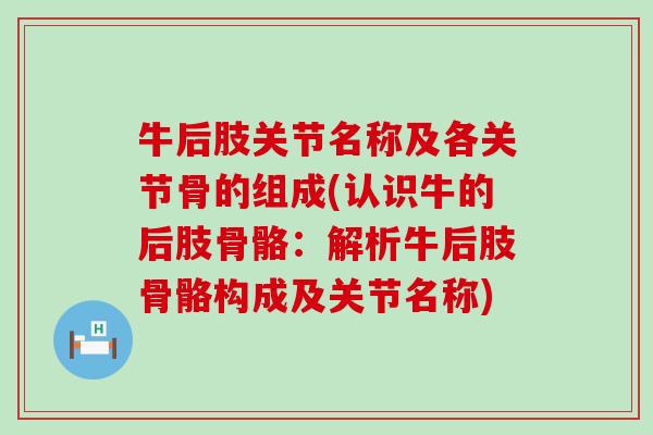 牛后肢关节名称及各关节骨的组成(认识牛的后肢骨骼：解析牛后肢骨骼构成及关节名称)