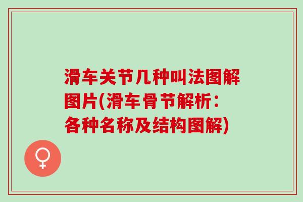 滑车关节几种叫法图解图片(滑车骨节解析：各种名称及结构图解)
