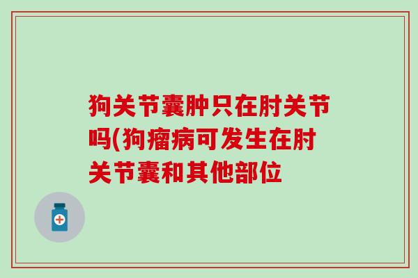 狗关节囊肿只在肘关节吗(狗瘤病可发生在肘关节囊和其他部位
