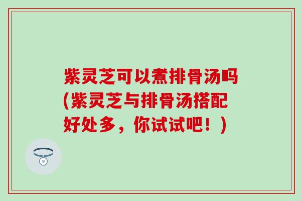 紫灵芝可以煮排骨汤吗(紫灵芝与排骨汤搭配好处多，你试试吧！)