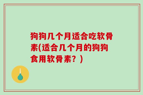 狗狗几个月适合吃软骨素(适合几个月的狗狗食用软骨素？)