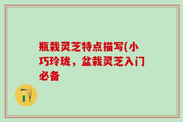 瓶栽灵芝特点描写(小巧玲珑，盆栽灵芝入门必备