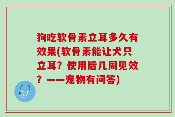 狗吃软骨素立耳多久有效果(软骨素能让犬只立耳？使用后几周见效？——宠物有问答)